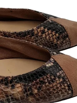 Ballerinas><noscript><img width=