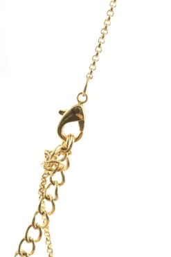 Colliers><noscript><img width=