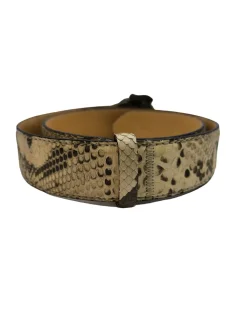 Gürtelschnalle-Reptileu2019s House Online