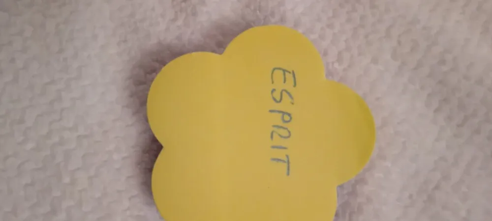 Ketten>Esprit Kette braun