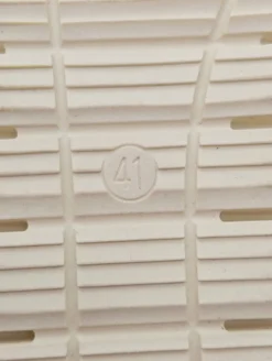 Ballerinas><noscript><img width=