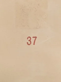 Ballerinas><noscript><img width=