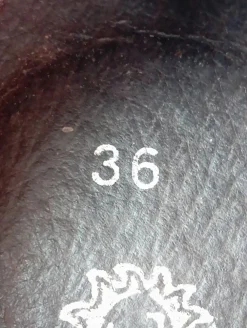 Ballerinas><noscript><img width=