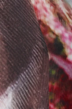 Shirts><noscript><img width=