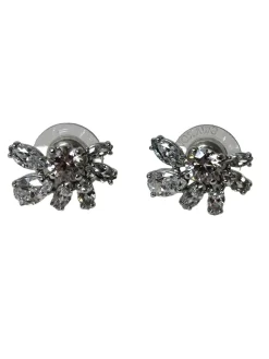 Ohrringe>Svarowski Ohrstecker silberfarben