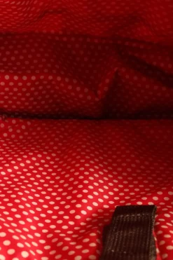 Planentaschen><noscript><img width=