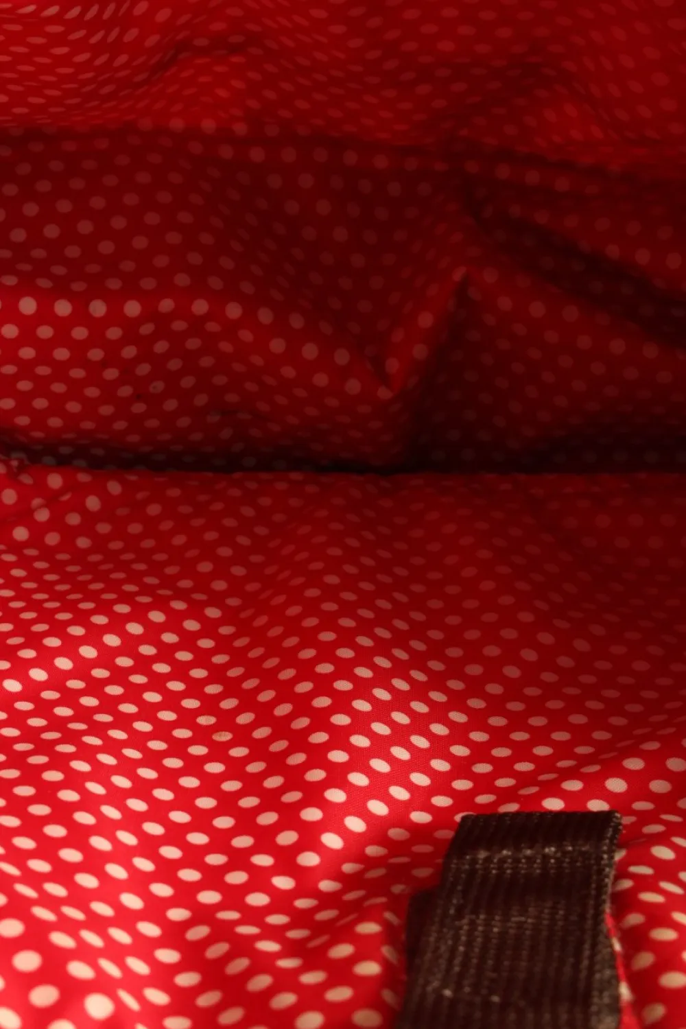 Planentaschen>Dakine Planentasche