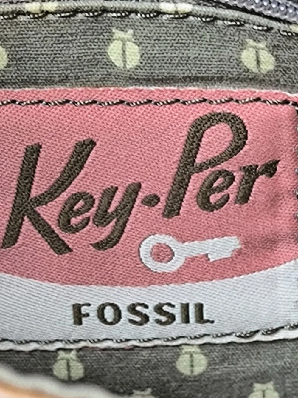 Planentasche-Fossil Hot