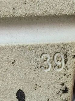 Sandaletten><noscript><img width=