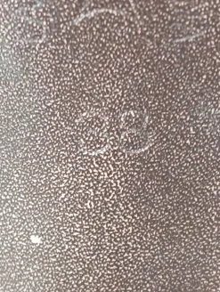 Stiefeletten><noscript><img width=