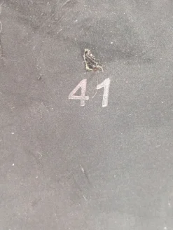 Reißverschluss-Stiefeletten Größe 41-Andrea Conti Clearance