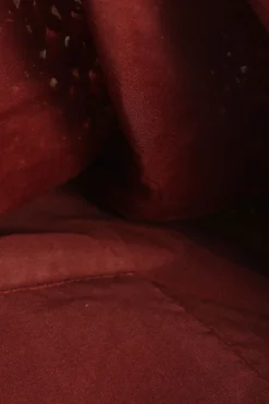 Shopper-American Eagle Outfitters Online