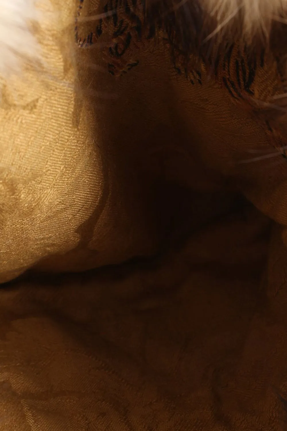 Umhängetaschen> Umhängetasche wollweißbraun